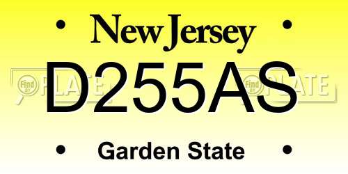D255AS New Jersey License Plate