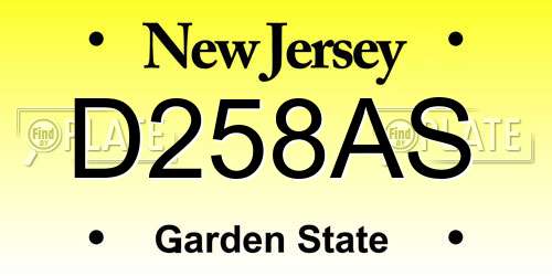 D258AS New Jersey License Plate
