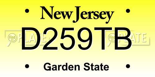 D259TB New Jersey License Plate