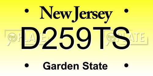 D259TS New Jersey License Plate