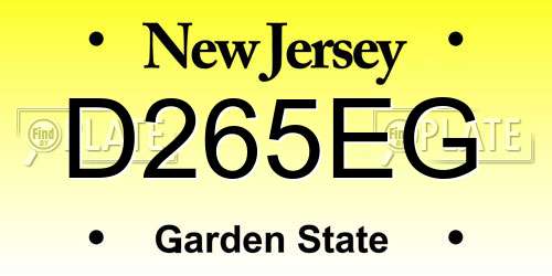 D265EG New Jersey License Plate