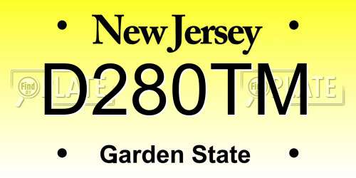 D280TM New Jersey License Plate