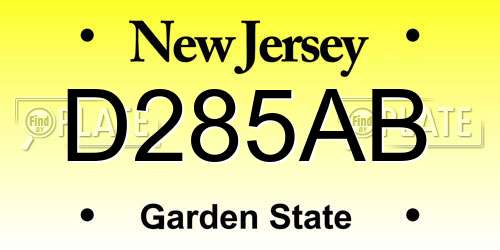 D285AB New Jersey License Plate