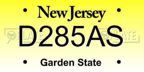 D285AS New Jersey License Plate