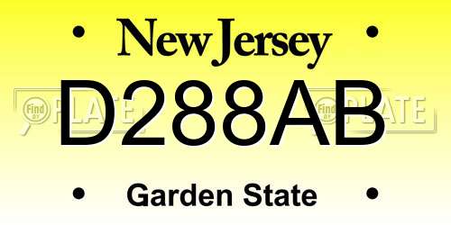 D288AB New Jersey License Plate