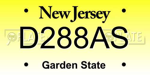 D288AS New Jersey License Plate