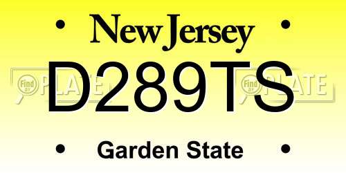D289TS New Jersey License Plate