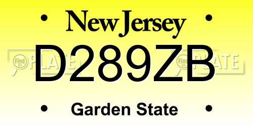 D289ZB New Jersey License Plate