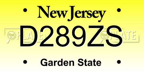 D289ZS New Jersey License Plate