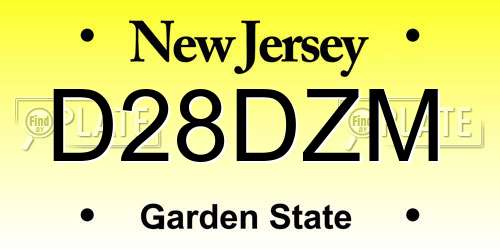 D28DZM New Jersey License Plate