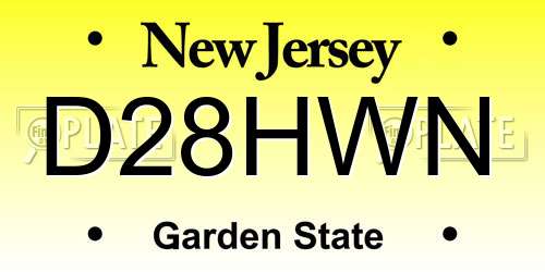 D28HWN New Jersey License Plate
