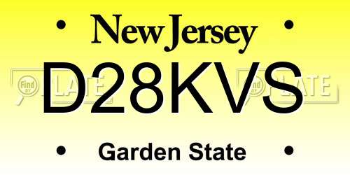 D28KVS New Jersey License Plate