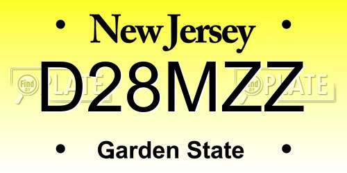 D28MZZ New Jersey License Plate