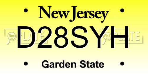 D28SYH New Jersey License Plate