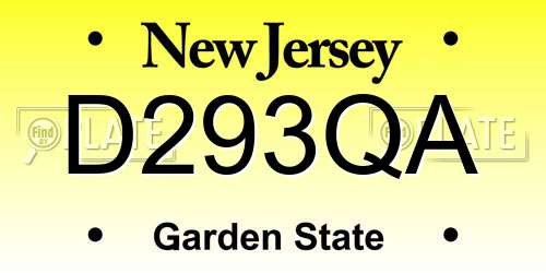 D293QA New Jersey License Plate