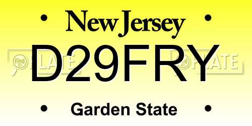 D29FRY New Jersey License Plate