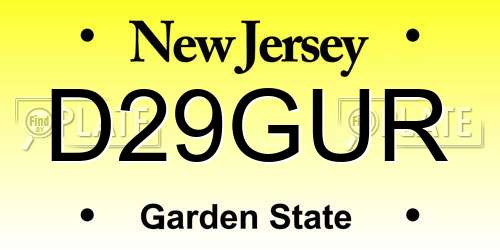 D29GUR New Jersey License Plate