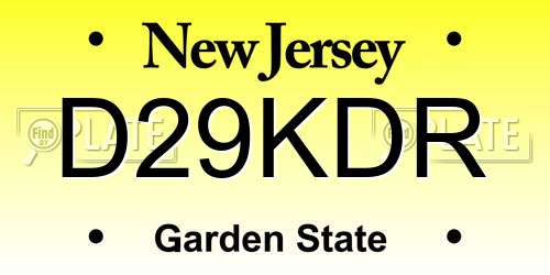 D29KDR New Jersey License Plate