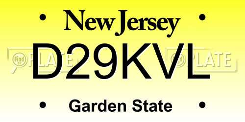 D29KVL New Jersey License Plate
