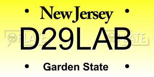 D29LAB New Jersey License Plate