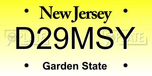D29MSY New Jersey License Plate