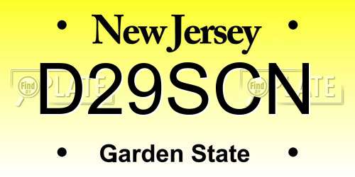 D29SCN New Jersey License Plate