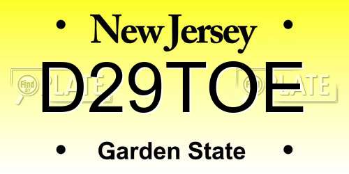 D29TOE New Jersey License Plate