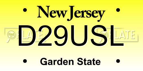 D29USL New Jersey License Plate