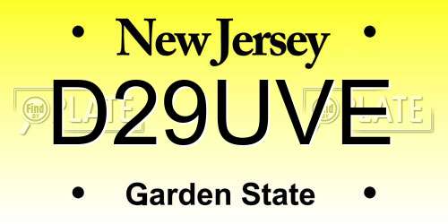D29UVE New Jersey License Plate