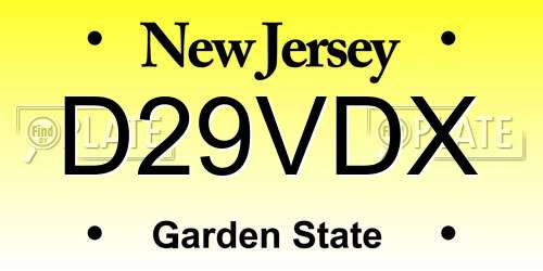 D29VDX New Jersey License Plate