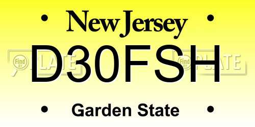D30FSH New Jersey License Plate