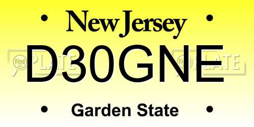D30GNE New Jersey License Plate
