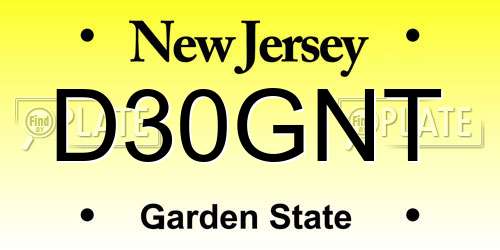 D30GNT New Jersey License Plate