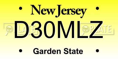 D30MLZ New Jersey License Plate