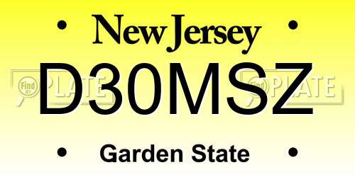 D30MSZ New Jersey License Plate