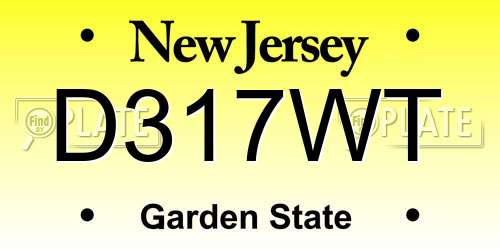 D317WT New Jersey License Plate