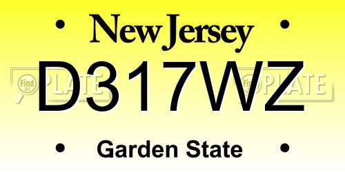 D317WZ New Jersey License Plate