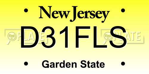 D31FLS New Jersey License Plate