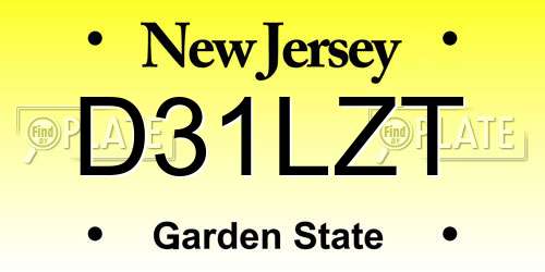 D31LZT New Jersey License Plate