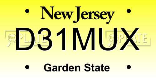 D31MUX New Jersey License Plate
