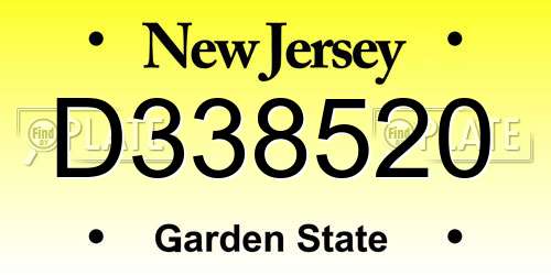 D338520 New Jersey License Plate