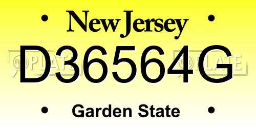 D36564G New Jersey License Plate