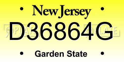 D36864G New Jersey License Plate