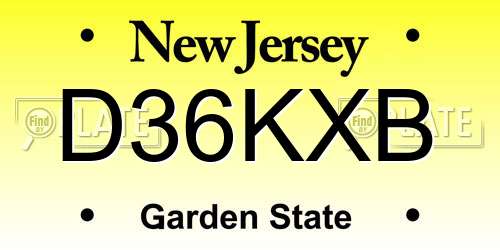 D36KXB New Jersey License Plate