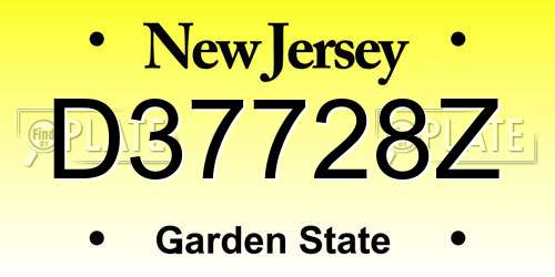 D37728Z New Jersey License Plate