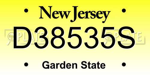 D38535S New Jersey License Plate
