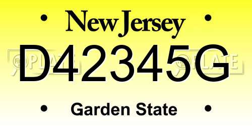 D42345G New Jersey License Plate