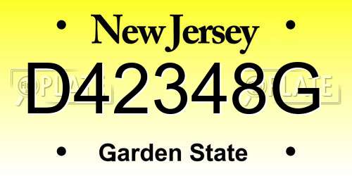 D42348G New Jersey License Plate