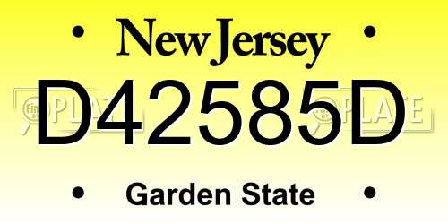 D42585D New Jersey License Plate