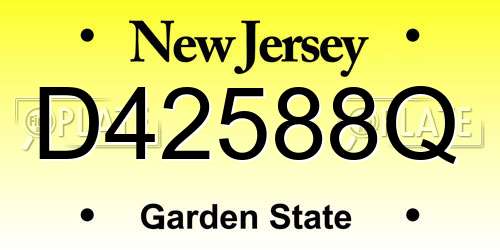 D42588Q New Jersey License Plate